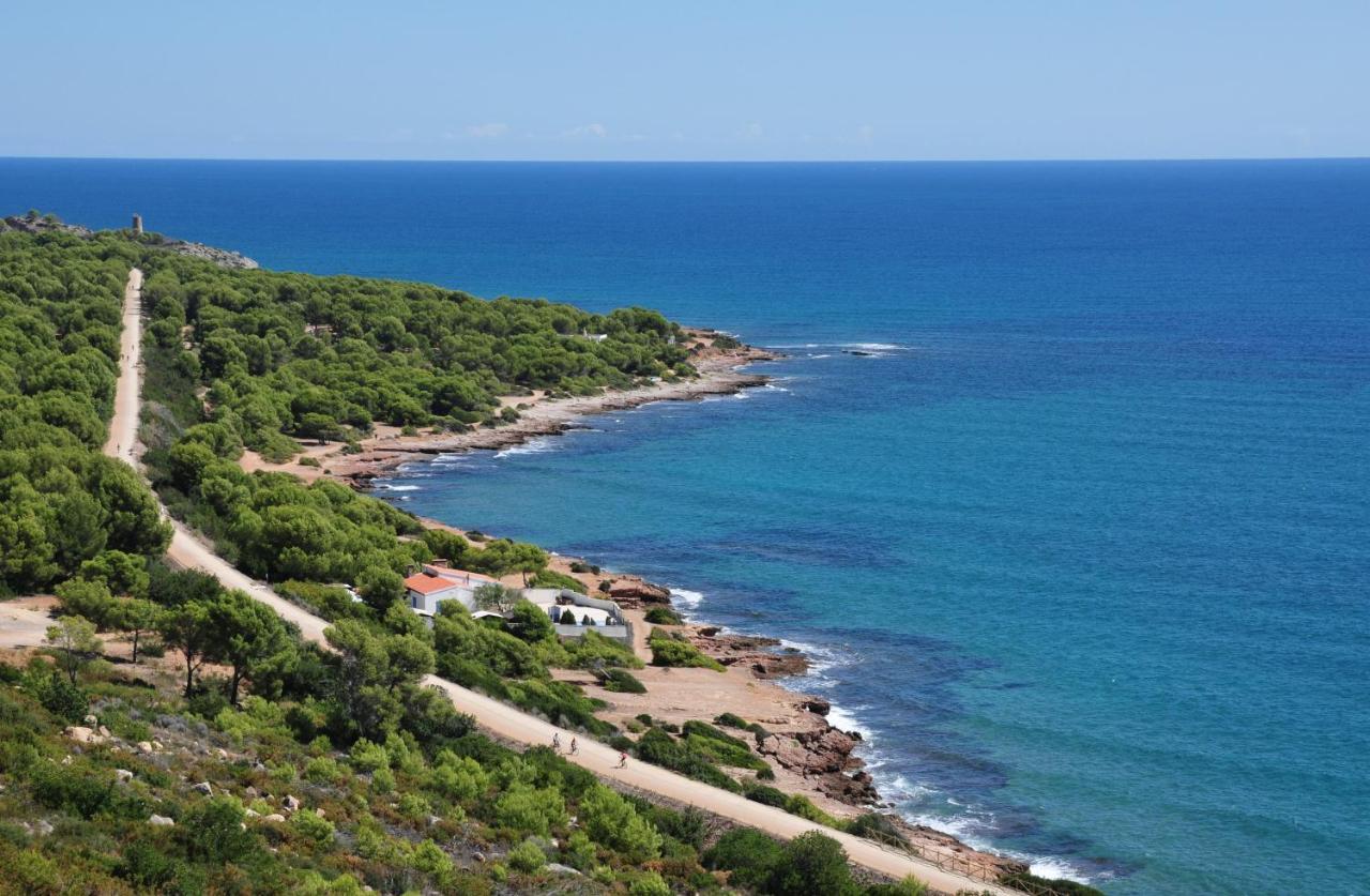 La Casa Del Pompon Daire Benicàssim Dış mekan fotoğraf